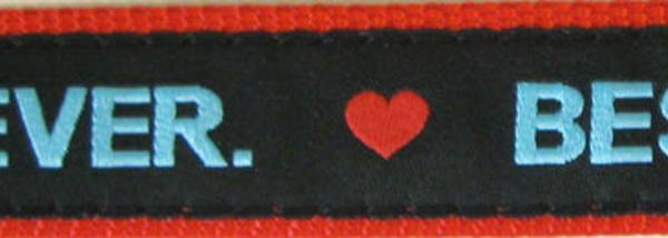 Step-In Adjustable Harness