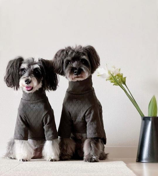 Pet Sweater