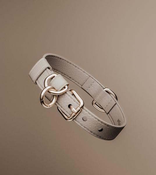 Minimalist Studio Collar