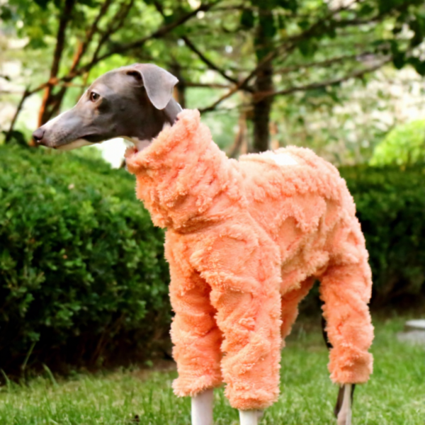 High-Neck Four-Legged Sweatshirt