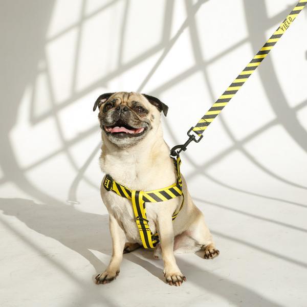 Sport Harness