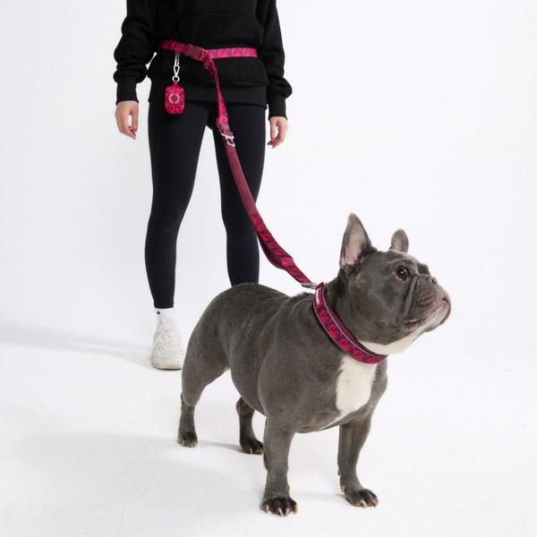 Multipurpose Seatbelt Handsfree Leash And Poop Bag Holder Set