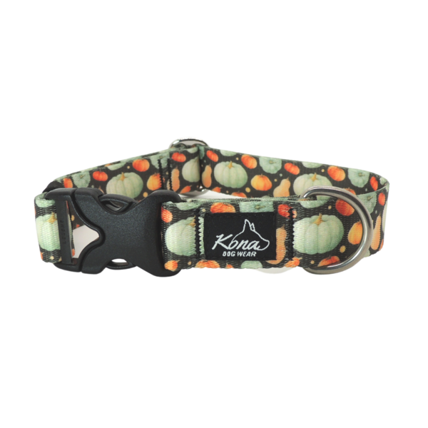High Strength Buckle Collar