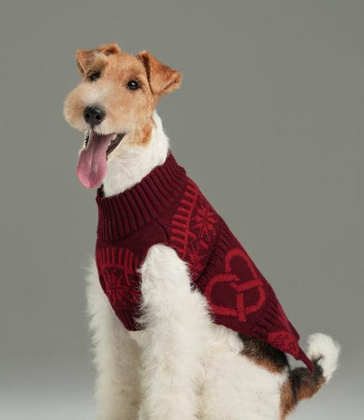 Pretzel Sweater Burgundy Red
