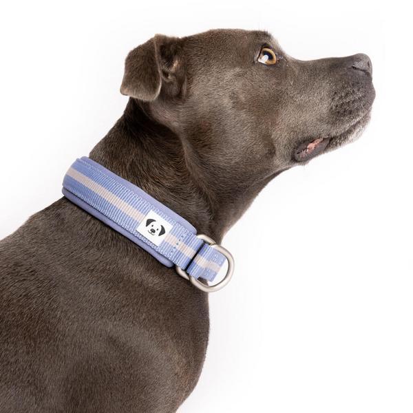 Strut Your Stuff Slip On Collar