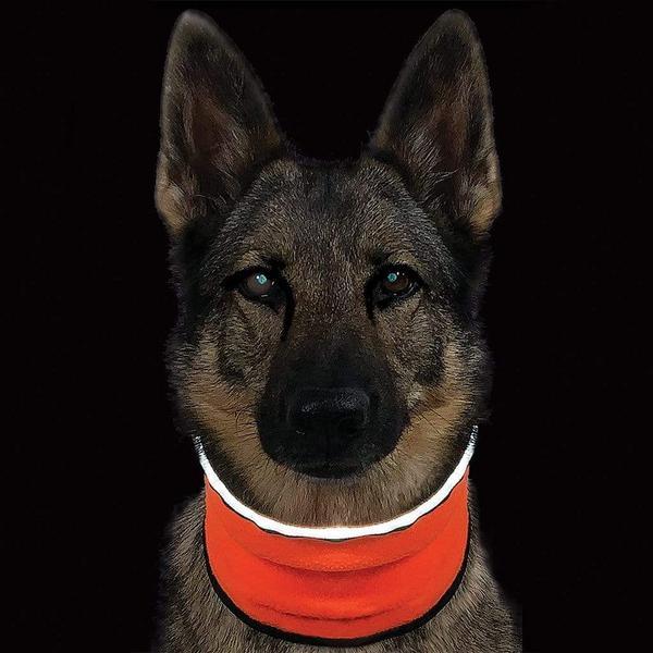 ViziNek Safety Gear