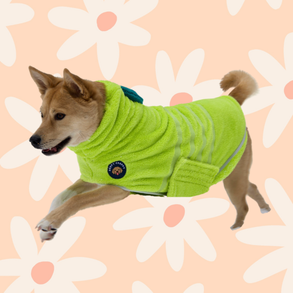 Premium Bathrobe - Lime