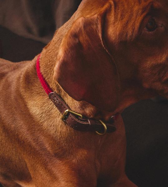 Leather And Rope Necklace