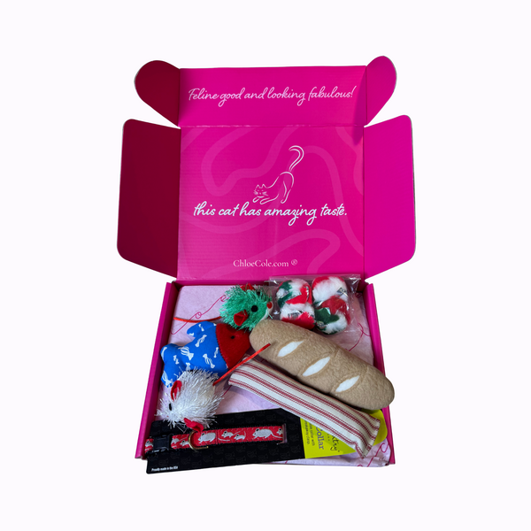 Red Mouse Breakaway Collar And Catnip Toy Collection Box