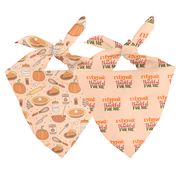 Thankful Thanksgiving Bandana
