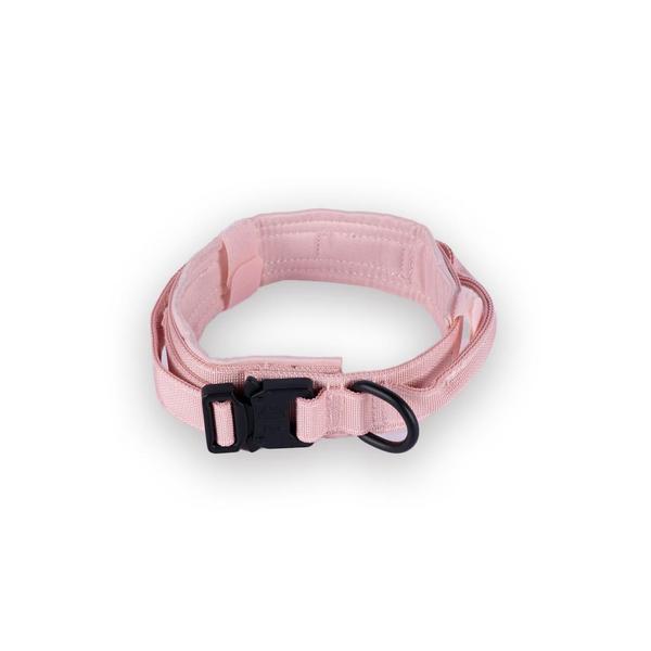 Tactical Nylon Collar Dream Pink