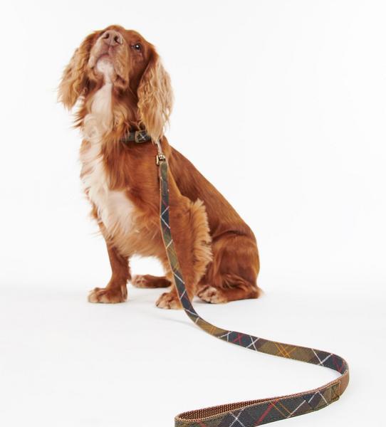 Tartan Webbing Lead