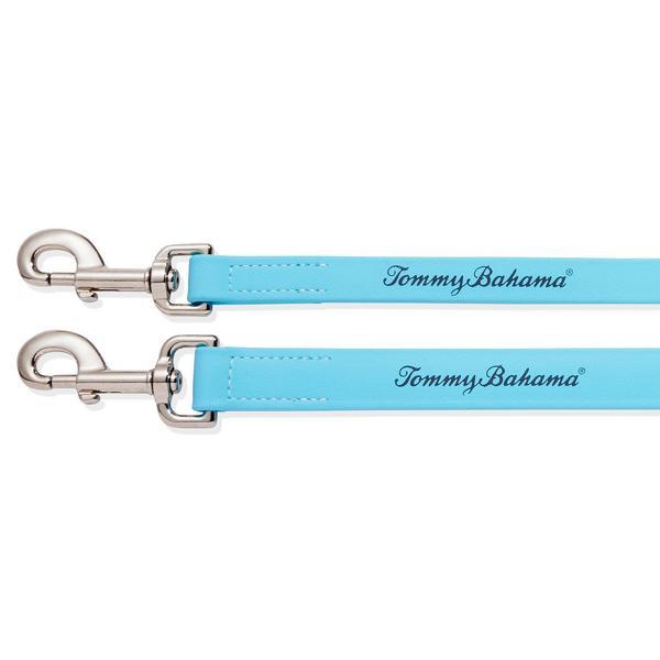 5 Foot Leash