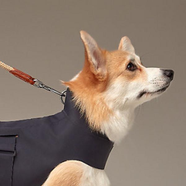 Water-Resistant Raincoat