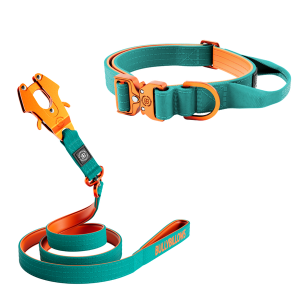Lighter Combat Collar and Swivel Lead Bundle Turquoise Orange