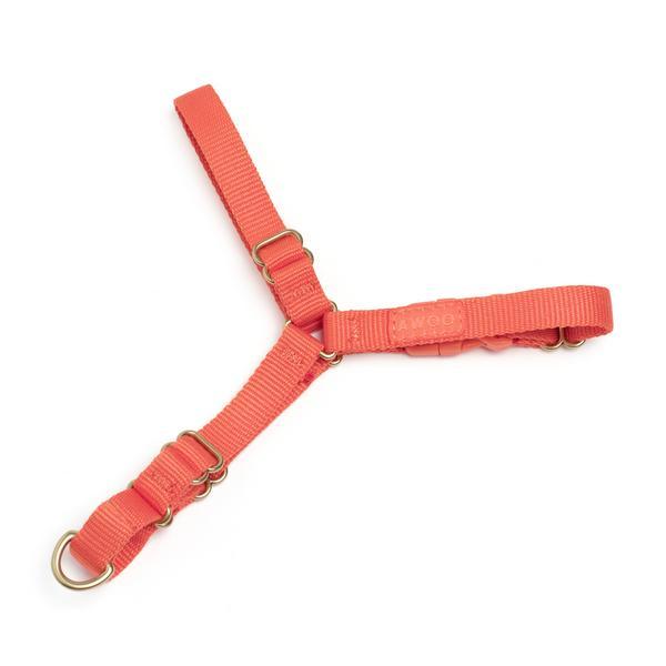 Roam Harness