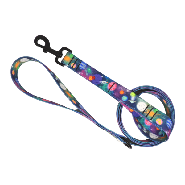High Strength Polyester Webbing Leash with Rust & Corrosion Resistant Hardware