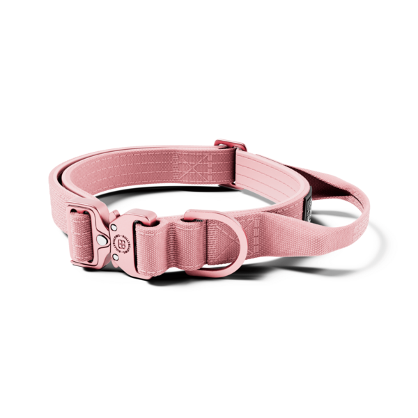 Lighter Combat Collar With Handle And Rated Clip