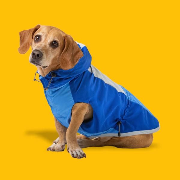 Classic Windbreaker Jacket