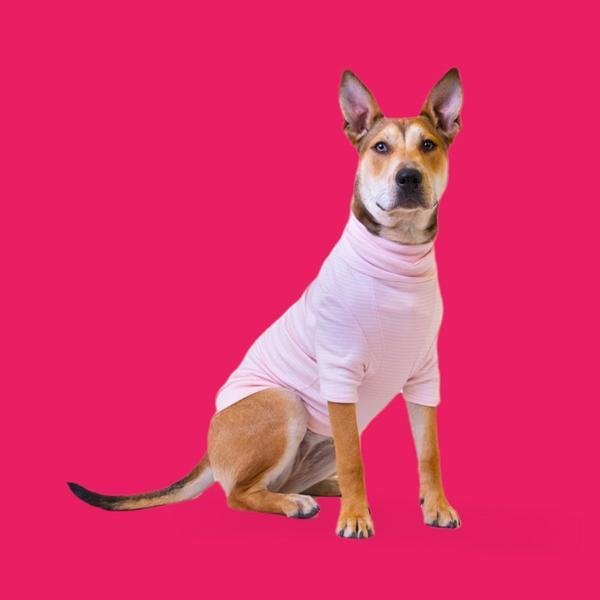 Flamingo Organic Baseball Tee