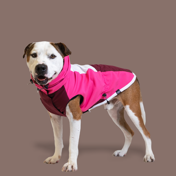 Punk Windbreaker Jacket