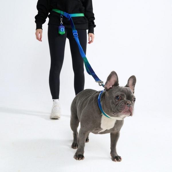 Multipurpose Seatbelt Handsfree Leash And Poop Bag Holder Set