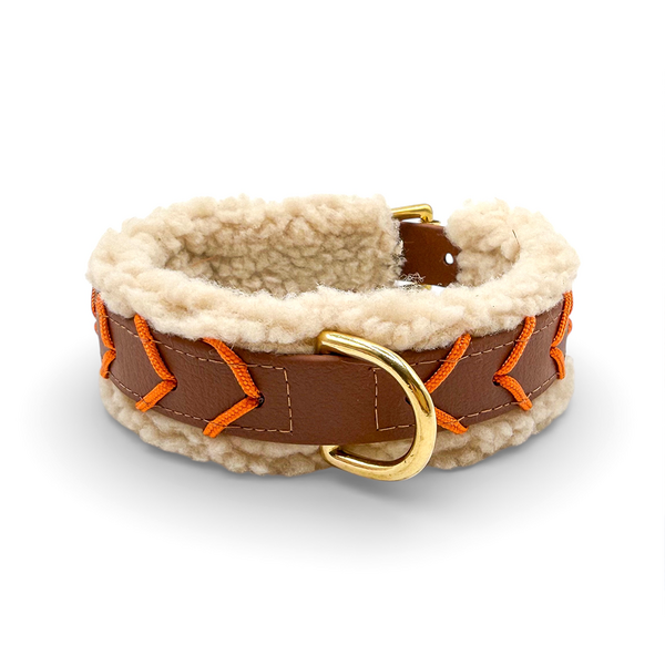 Color Edition Collar Blue Adjustable Neckband