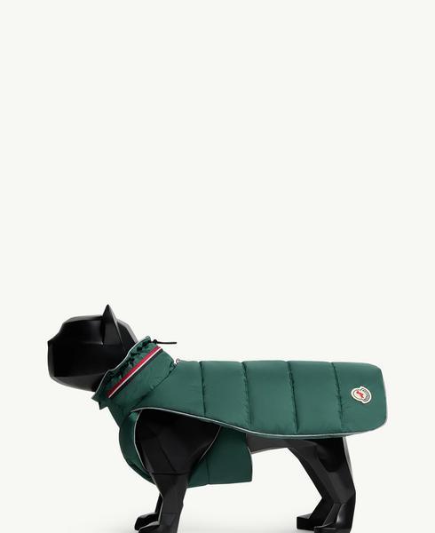 Tricolor-Trimmed Padded Vest