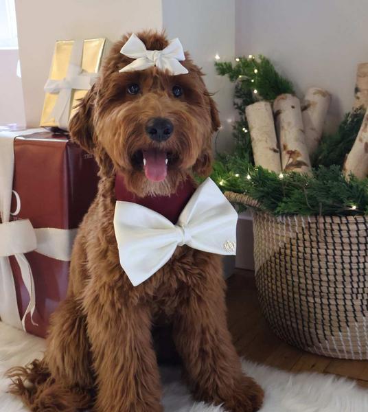 Limited Edition Noel Bandana