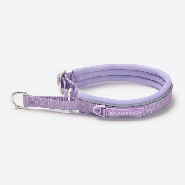 Martingale Collar Lilac
