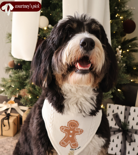 Gingerbread Bandana
