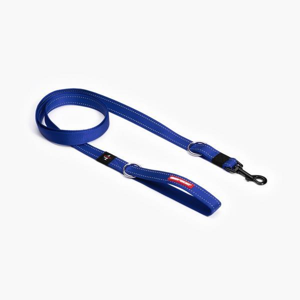 Multi-Function Leash