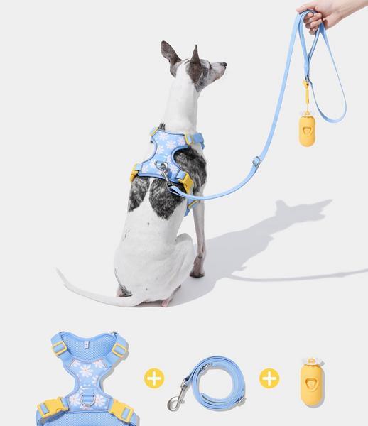 Daisy Pet Walk Kit Harness Leash Poop Bag Dispenser
