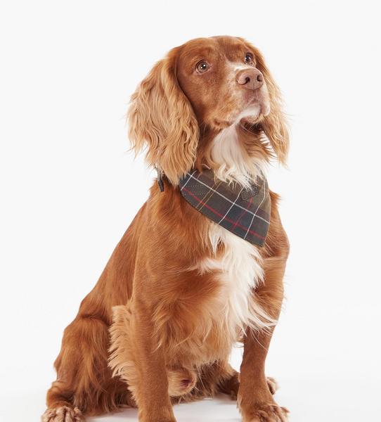 Tartan Bandana for Dogs