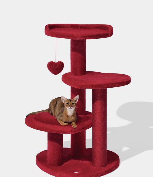 Heartpurrouge Climber