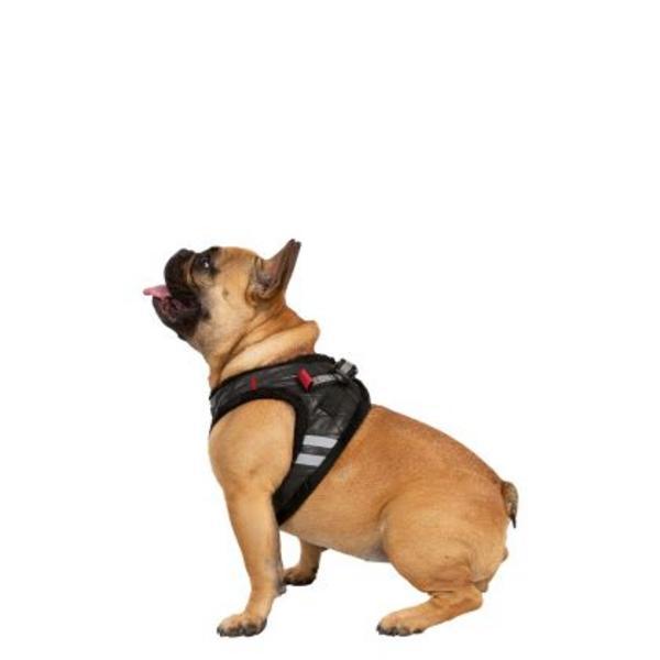 Pet Harness Lola