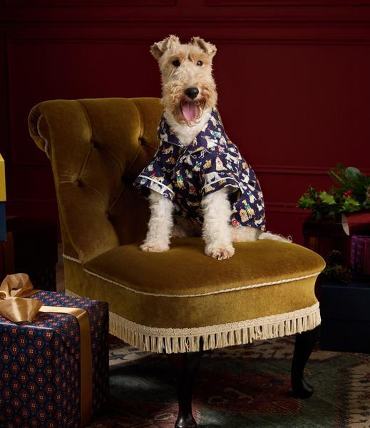 Navy Party Festive Pyjamas