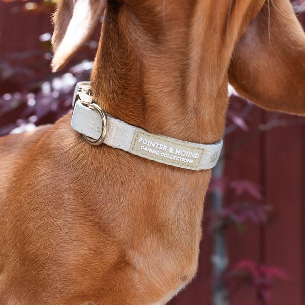 Fabric Collar Maple Print