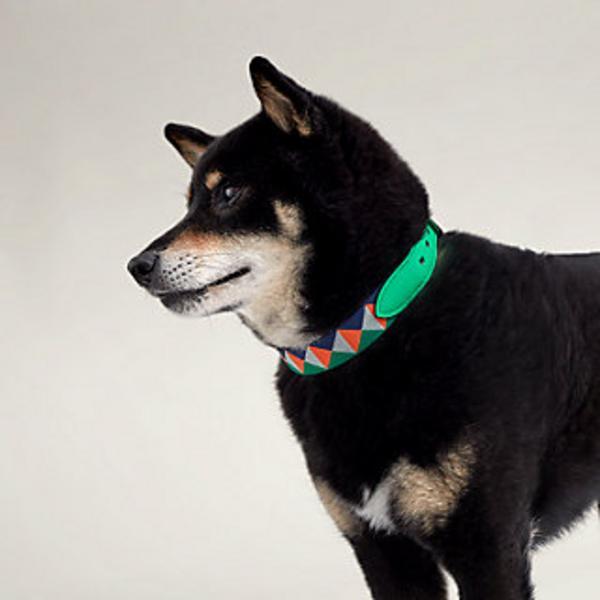 Colorful Calfskin Collar