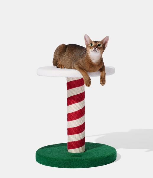 Festive Climber Frosty Fellow