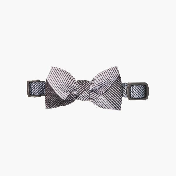 Bow Tie