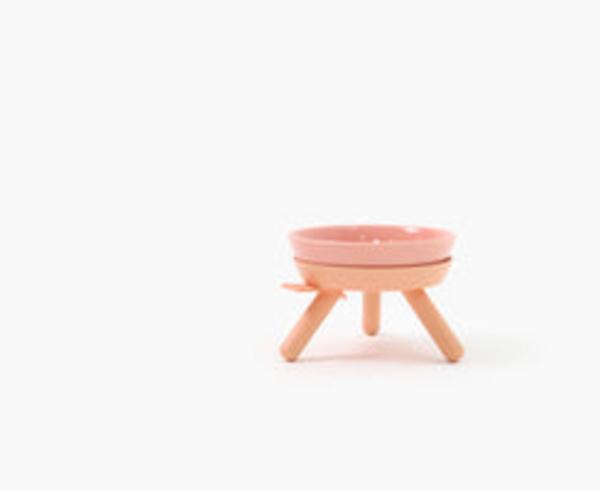 Elevated Pet Feeder Table with Ceramic Bowl