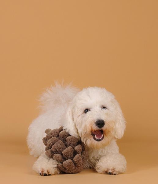 Pinecone Snuffle And Squeak Toy