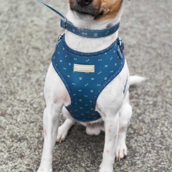 Classic Harness Toby Print