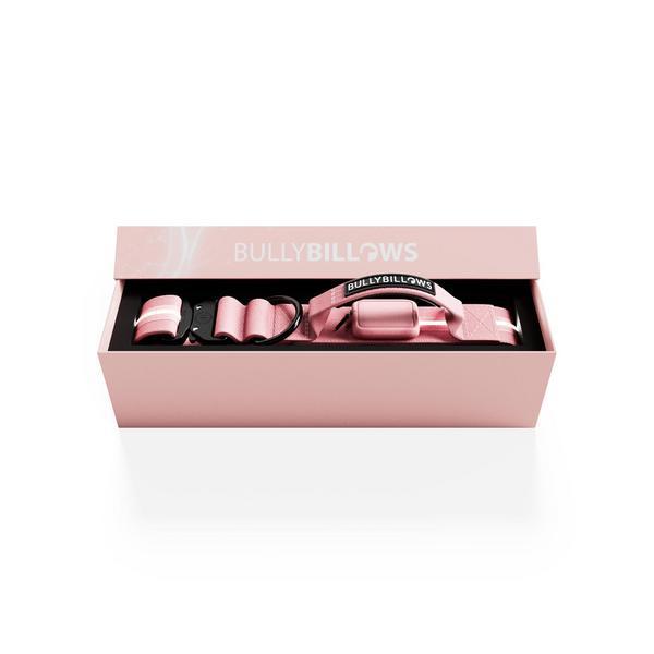 Light Up Led Combat Collar With Handle