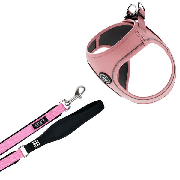 Step‑In Harness And Lead Bundle Pink