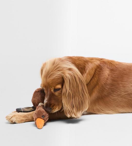 Flying Duck Toy