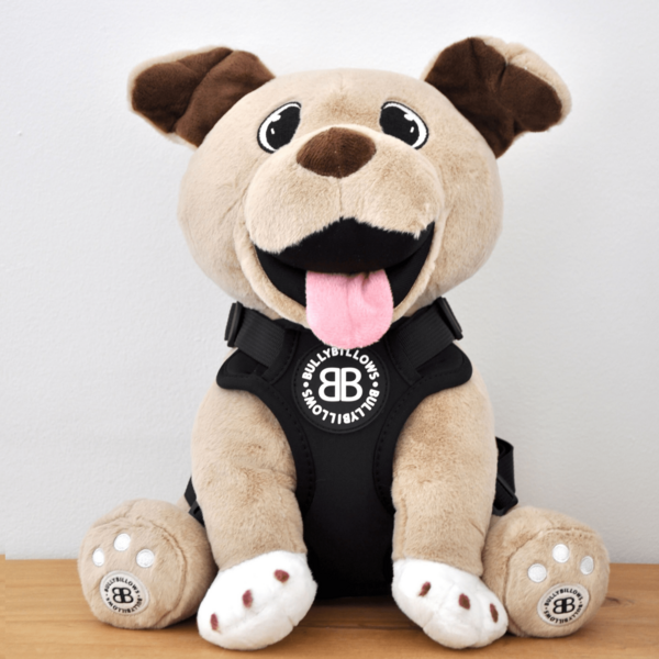 Xl Bully Teddy Harness Black