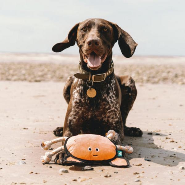 Plush Crab Toy