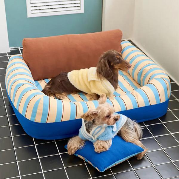Trendy Striped Cozy Orthopedic Sofa Bed